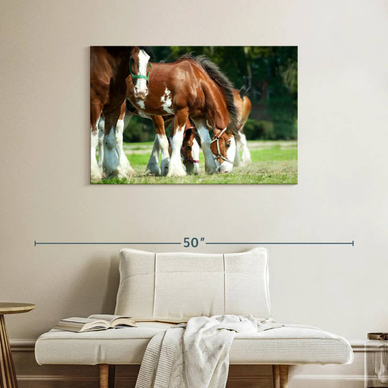 Brampt Clydesdale Horses, H 26 po x l 39 po