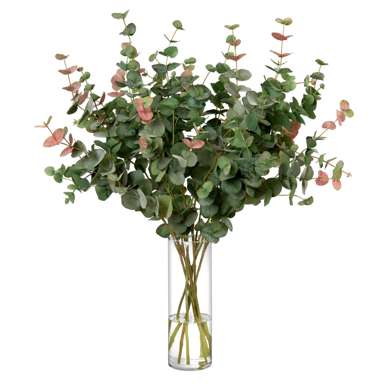 Eucalyptus in Tall Glass Cylinder