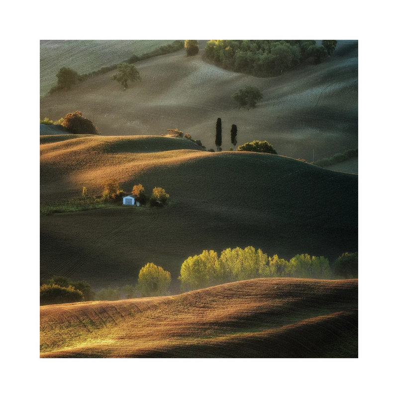 Impression II by Adam Pachula - Wrapped Canvas Print, 66.04 cm H x 66.04 cm W x 3.175 cm D