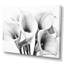 «Serenade of Lilies Dreams I» sur toile blanche et noire-1960169321-1960169322