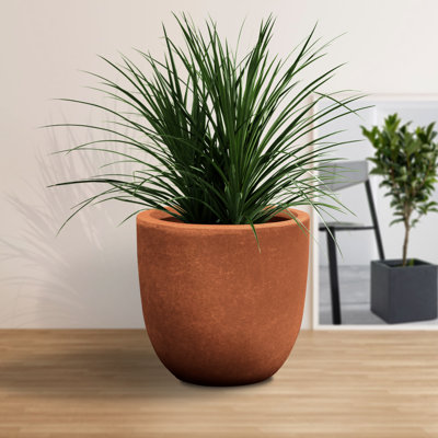 Pot de fleurs en béton