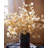 Golden Haze Eucalyptus Stem 37.7" Tall-476478261