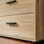 Rajish Manufactured Wood Wardrobe