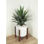 Faux yucca botanique au fini vert-1923605094