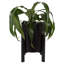Pot à fleurs en plastique Dammion-58414586