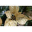 180cm Garland