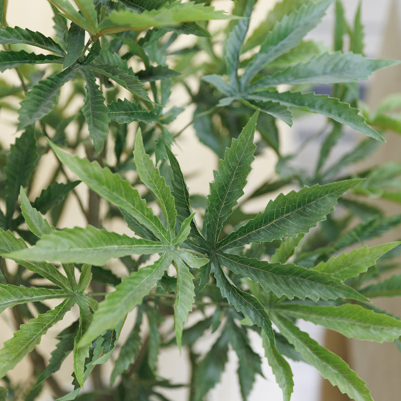 41,6 "plante à fleurs artificielle en pot