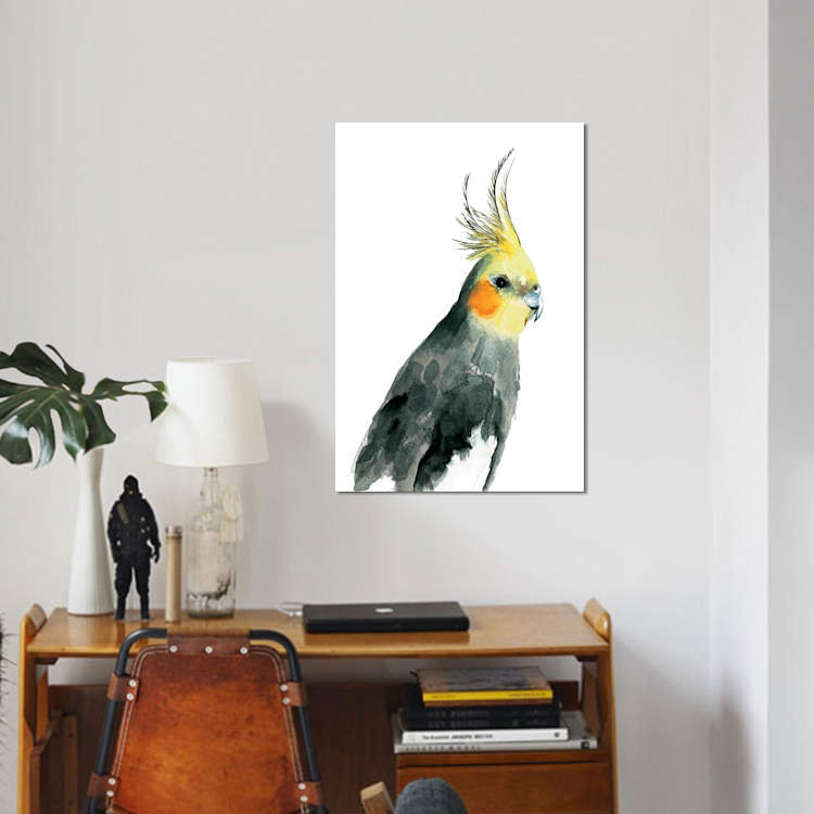 «Cockatiel II», reproduction sur toile, H 12 po x l 8 po x P 0,75 po, Pas de tapis, Toile tendue