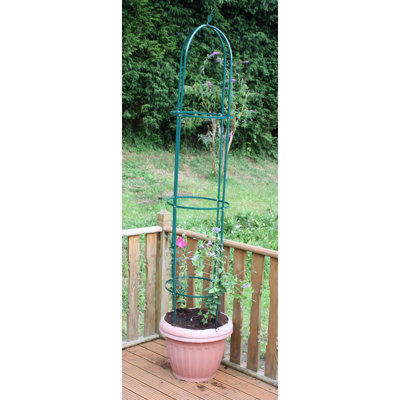 Ernberg 190cm H x 45cm W Metal Obelisk Trellis