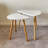 Sudie Nesting Tables-1919547567