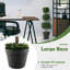 75 cm H Faux Boxwood Tree Plant in Plastic Pot