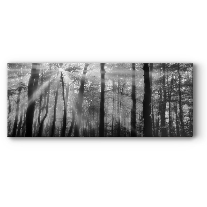Breaking Through sur impression sur toile, H 8 po x l 20 po x P 1,5 po