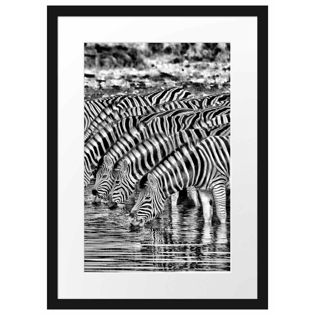 Gerahmtes Poster Safari mit Zebras in Afrika