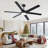  Cissline 60" Modern Black Ceiling Fan With Light, Remote & App Control for Living Room/Dinning Room
