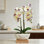 Orchidée artificielle en soie réaliste dans un vase en céramique, grand arrangement floral de phalaenopsis blanc pour la maison et la décoration