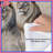 Two Male Lions Comforter-126737130