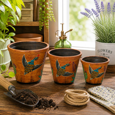 "Grand ensemble" de pots à fleurs Southwest