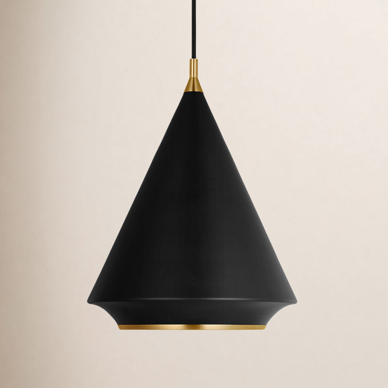 Luminaire suspendu à 1 lumière Filipa Shorecrest, Nuit noire, H 19,63 po x l 14,88 po x P 14,88 po