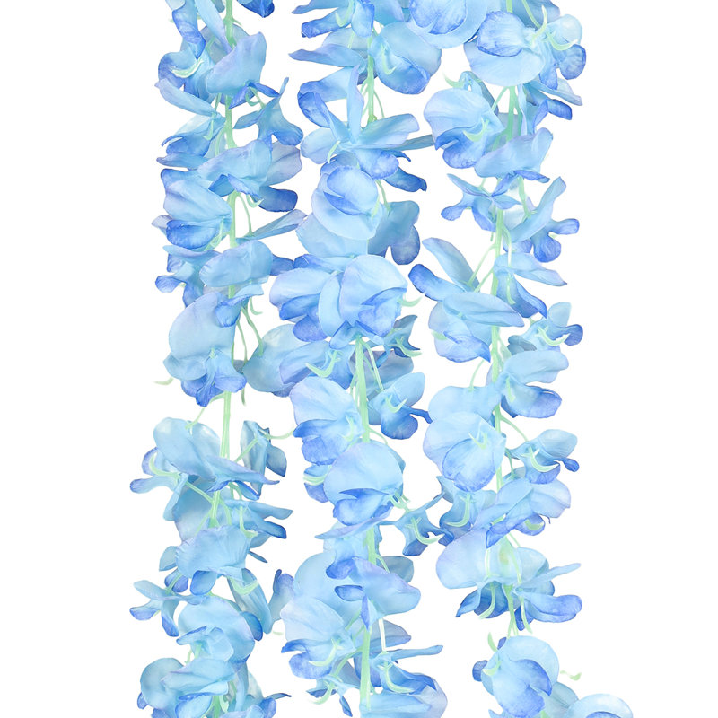 Longue tige de glycine suspendue, Bleu