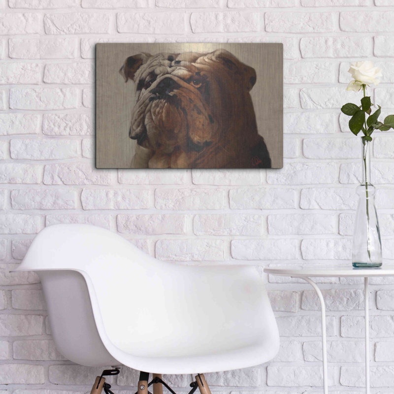 «Bulldog» par Thomas Fluharty, H 16 po x l 24 po