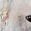 Elena - Wrapped Canvas Painting-992663452