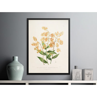 Johannes 1 Piece Wall Art