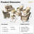 Daliya Wicker 6 - Person Patio Conversation Set with Cushions-331374301