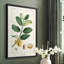 «Turpin Tropical Botanicals», reproduction encadrée en bois massif-1504516613-1504516610
