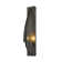 Cirque 1 - Light Flush Mounted Sconce