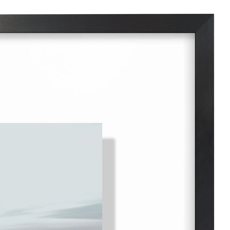 Rickesha Floating Aluminum & Plexiglass Picture Frame, 16" x 20"