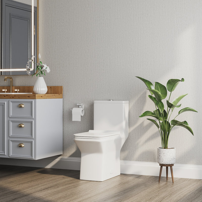 Toilette monobloc Ace
