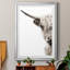 «Highland C best» par Danita Delimont - reproduction de cadre photo-2143710167-2143710160