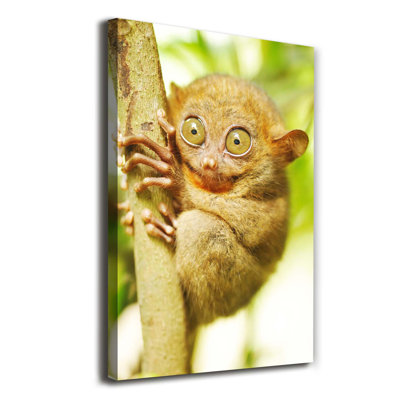 Spooky - Wrapped Canvas Print