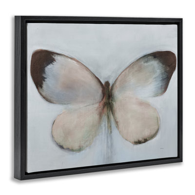 Ailes de papillon délavées