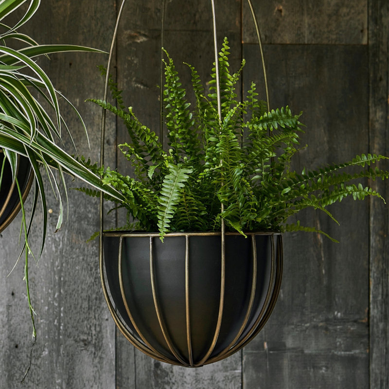 Kensington Hanging Planter, Brass