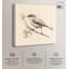 Nest Niche Canvas Vintage Illustrations by Art Remedy-114227915-114227922