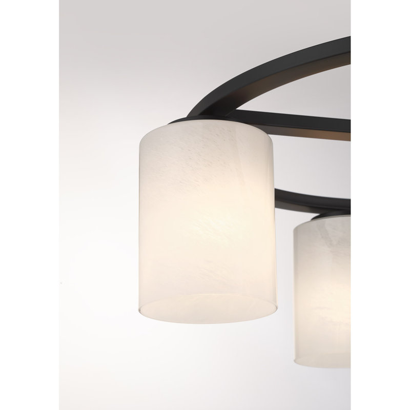 Herron 4-Light Ceiling Light in Matte Black, Matte Black