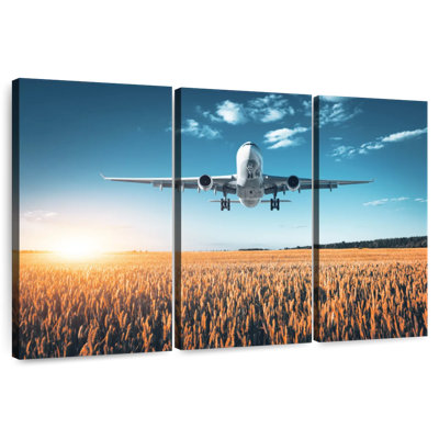 Mehar Airplane Over Field