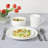 Martha Stewart 16 Piece Basket Weave New Bone China Embossed Porcelain Dinnerware Set