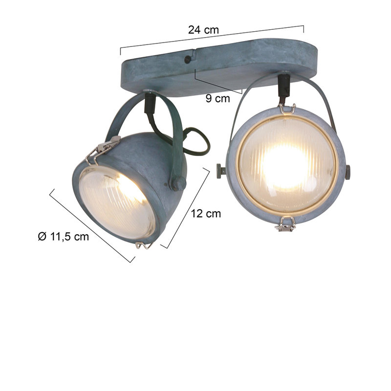 Roark LED Spotlight