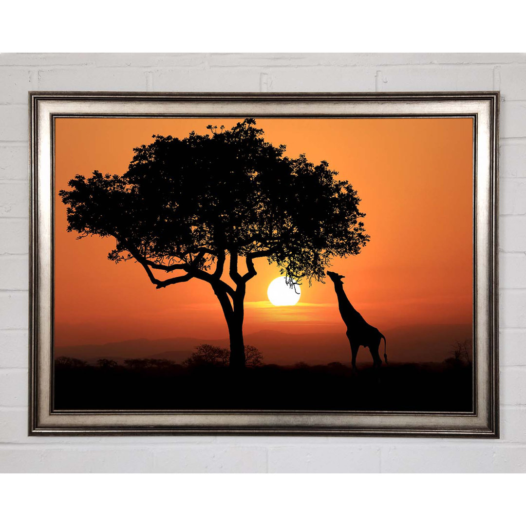 Gerahmtes Bild Giraffe Safari Sunset