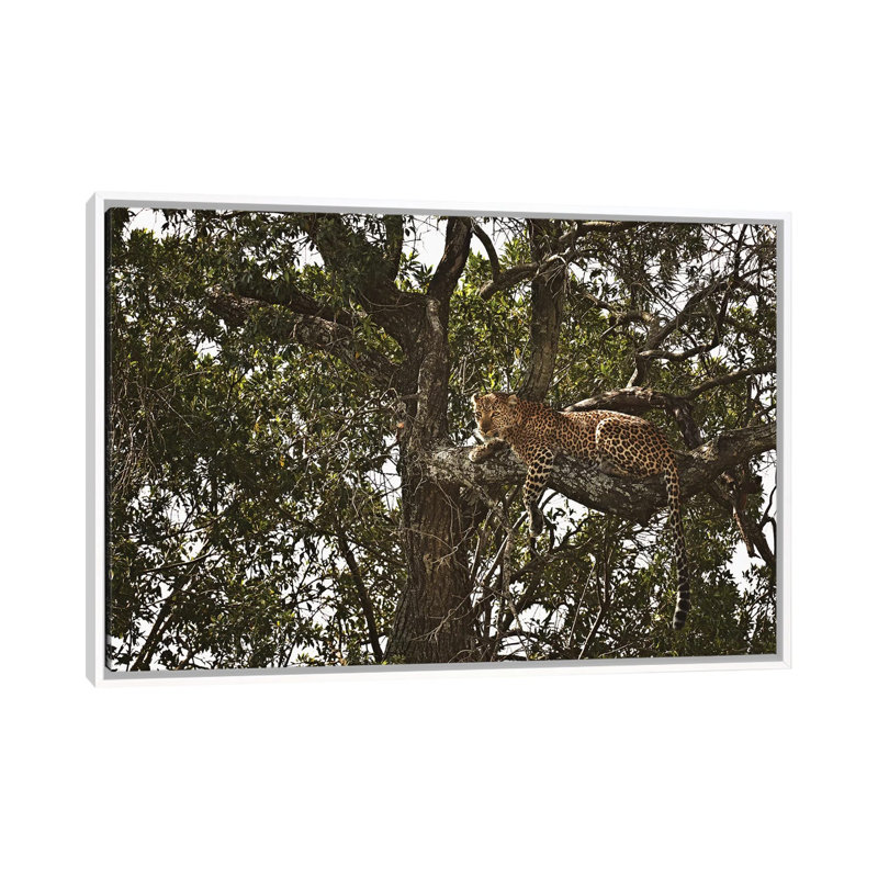 Sentinel III by Klaus Tiedge - Print on Canvas, White Framed, 66.04 cm H x 45.72 cm W