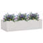 Boîte à fleurs-940481203