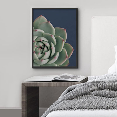 Queen Cactus Echeveria Elegan Botanical Succulent - Photographie avec cadre photo