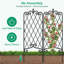 Treillis de jardin pour plantes grimpantes-133390162