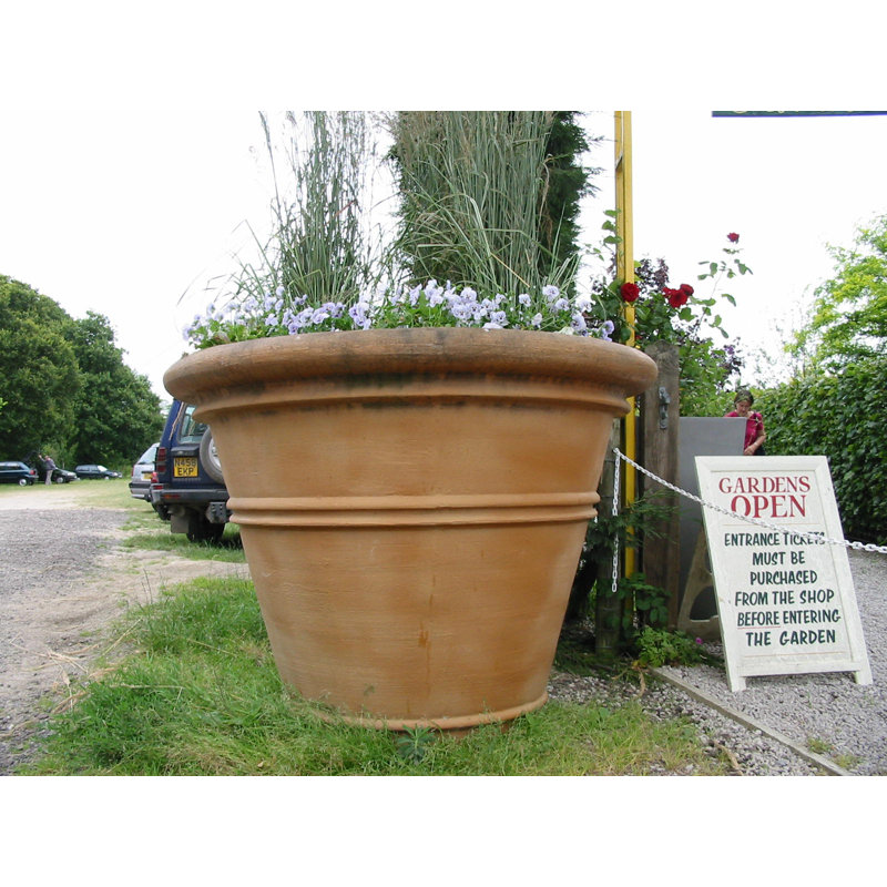 Balhi Fibreglass Planter, 48 cm H x 58 cm W x 58 cm D