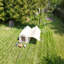 Tentes de camping-111122202