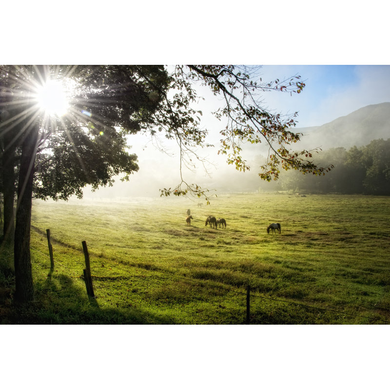 Morning Graze I, H 20 po x l 30 po x P 1,25 po