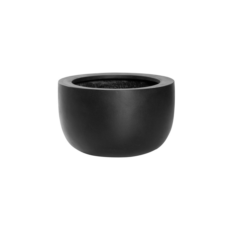 Sunny M, Black