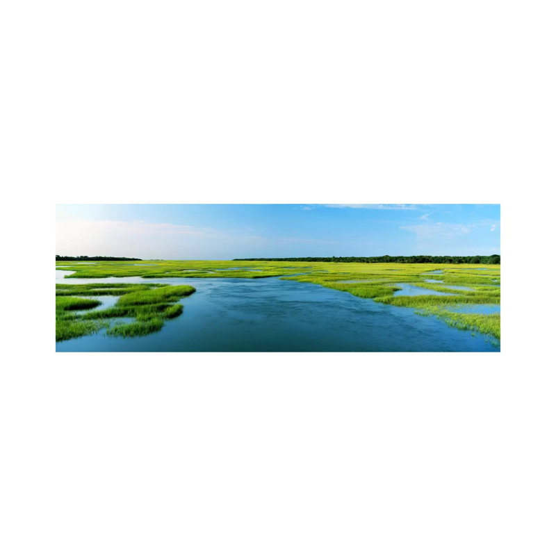 Sea Grass In The Sea, Atlantic Coast, Jacksonville, Florida, USA by Panoramic Images - Wrapped Canvas Panoramic Print